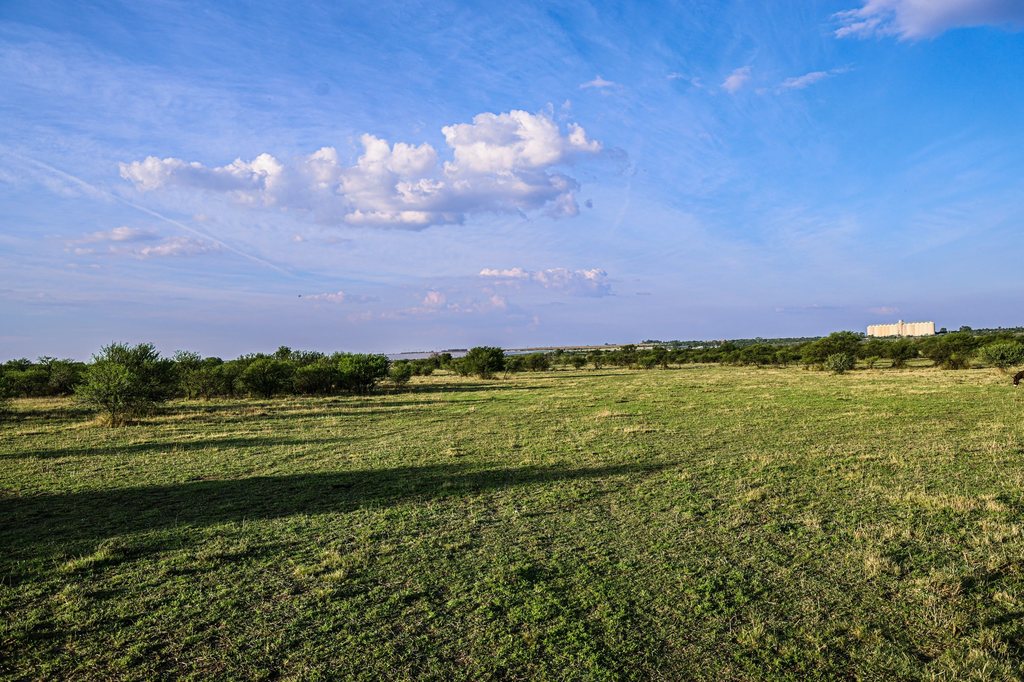 Open Free State grassland at Goldfields under a wide blue sky.